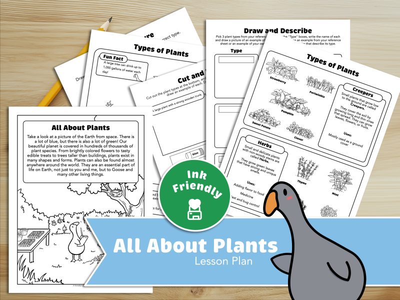 All About Plants - Lesson Chapter - Ink Friendly