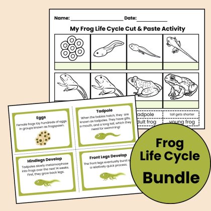 Frog Life Cycle Bundle Worksheet and Cards