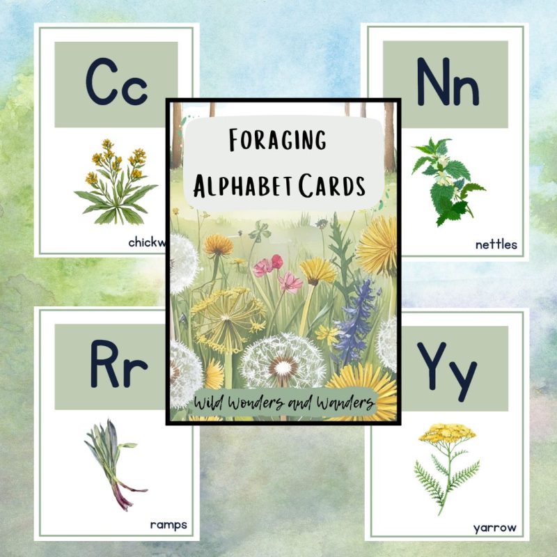 Foraging Alphabet Cards