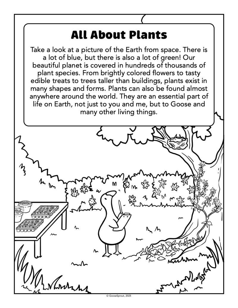 All About Plants - Lesson Chapter - Ink Friendly - Image 3