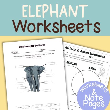 Elephant Nature Study Family Unit