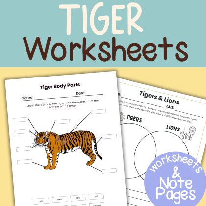 Tiger Nature Study Family Style Unit Note Pages and Worksheets