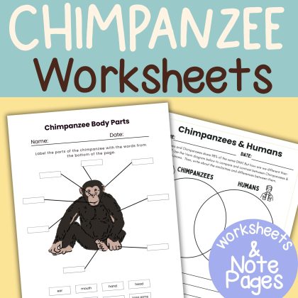 Chimpanzee Nature Study Family Unit Multi Subject Worksheets and Note Pages