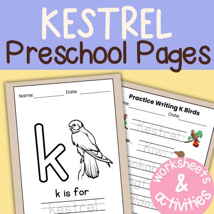 K is for Kestrel Preschool Activity Bundle