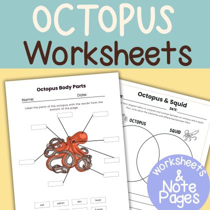 Octopus Nature Study Family Unit Homeschool Science Multi Subject