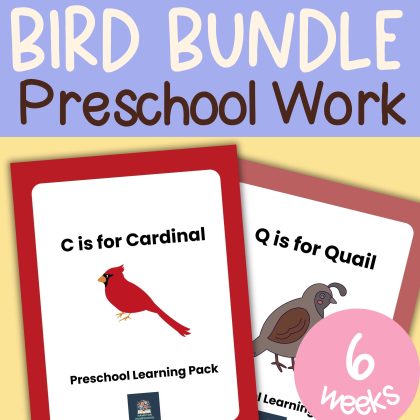 Preschool Bird Bundle Pre-K Learning Pack 6 Week Lessons Kindergarten Worksheets