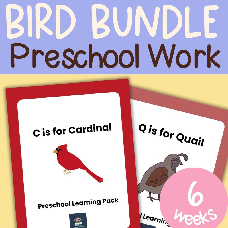 Preschool Bird Bundle Pre-K Learning Pack 6 Week Lessons Kindergarten Worksheets
