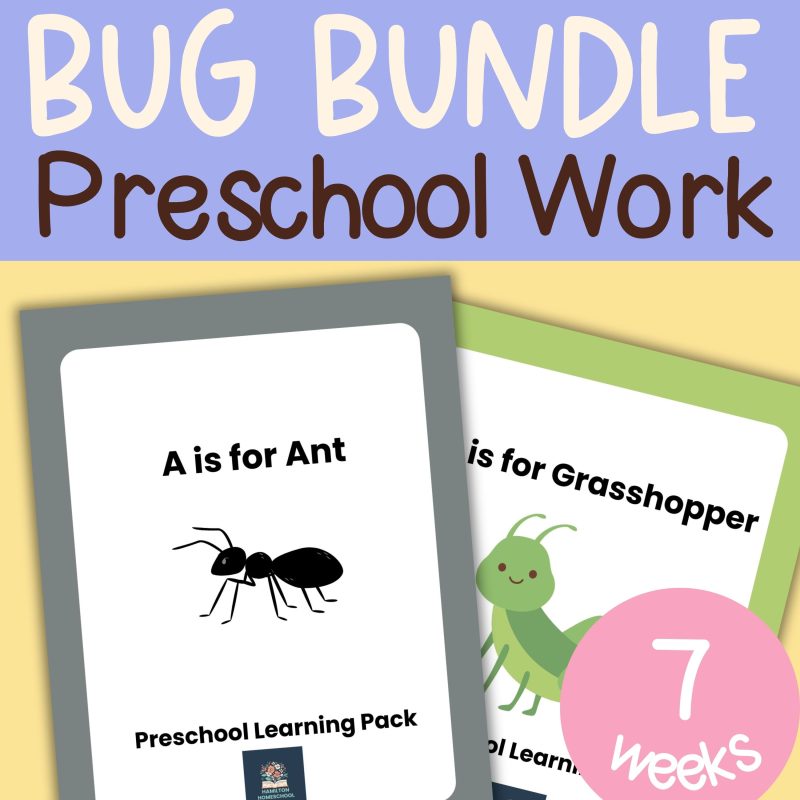 Preschool Bug Bundle Pre-K Learning Pack 7 Week Lessons