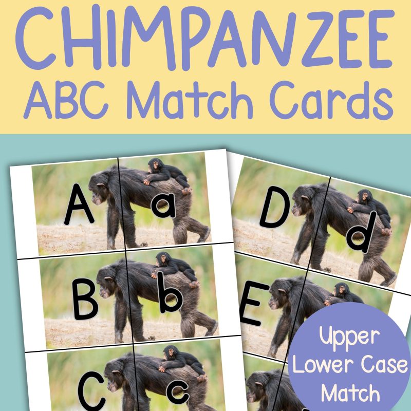 Chimpanzee Alphabet Matching Game Upper and Lower Case Letter Cards