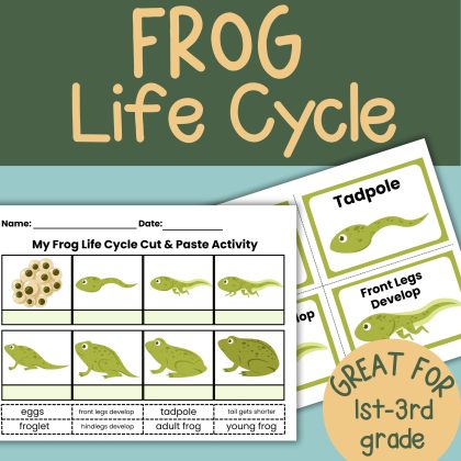 Frog Life Cycle Bundle Worksheet and Cards
