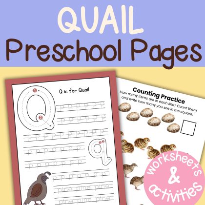 Q is for Quail Preschool Activity Bundle Learning Pack Preschool- Kindergarten Worksheets