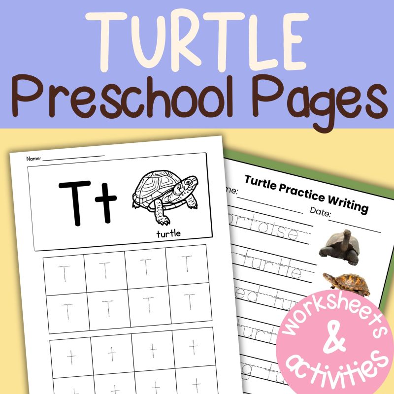 T is for Turtle Preschool Activity Sheets Bundle Letter T Turtle Unit Study Kindergarten Pre K