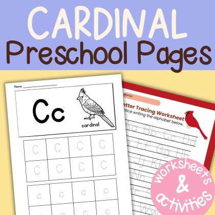 C is for Cardinal Preschool Worksheets Pre K Kindergarten Activity Sheets Bird Life Cycle