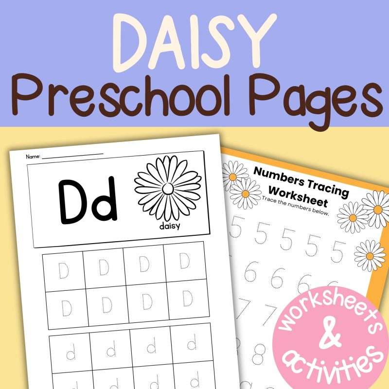 D is for Daisy Preschool Learning Pack Garden Flowers