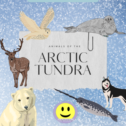 Animals of the Arctic Tundra