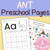 A is for Ant Preschool Worksheets Letter A Week Pre K Kindergarten Ant Activity Sheets
