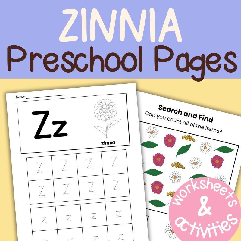 Z is for Zinnia Preschool Kindergarten Activity Sheets Bundle Z Week