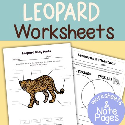Leopard Nature Study Family Unit Worksheets Activities and Note Pages