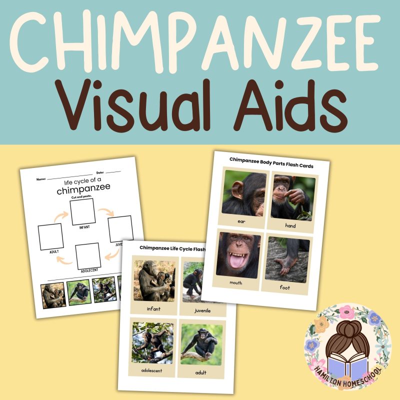 Chimpanzee Nature Study Family Unit Multi Subject Worksheets and Note Pages - Image 2