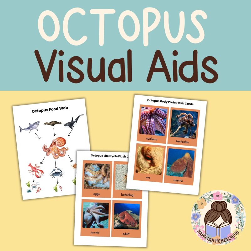 Octopus Nature Study Family Unit Homeschool Science Multi Subject - Image 2