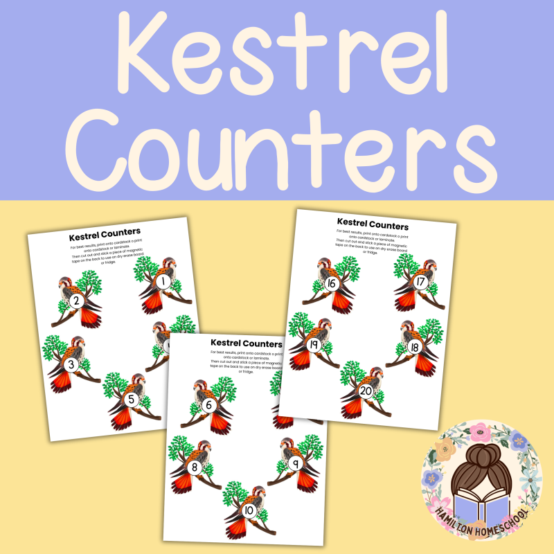 K is for Kestrel Preschool Activity Bundle - Image 2