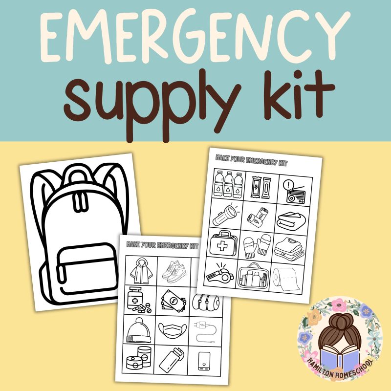 Emergency Supply Kit Activity Fill Your Emergency Kit File Folder Activity - Image 2