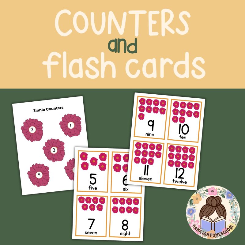 Zinnia Math Activity Pack Preschool to Kindergarten Counting Practice - Image 2