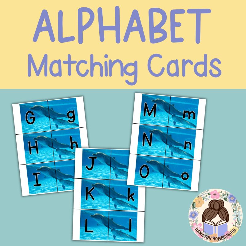 Dolphin Alphabet Matching Game Upper and Lower Case Letter Cards - Image 2