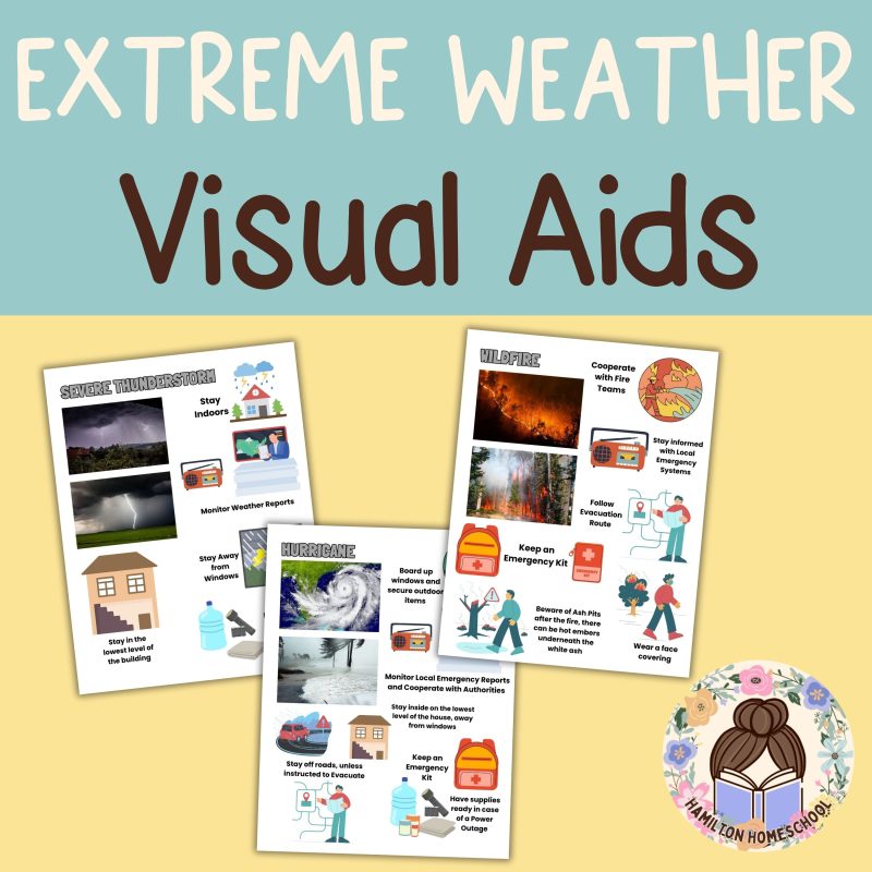 Extreme Weather Family Unit Earth Science Emergency Preparation Severe Weather Study Unit - Image 2