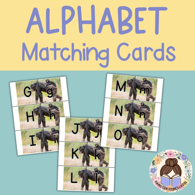 Chimpanzee Alphabet Matching Game Upper and Lower Case Letter Cards - Image 2