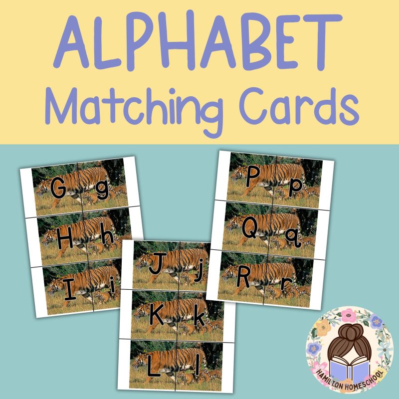 Tiger Alphabet Match Game Upper and Lower Case Letter Cards - Image 2