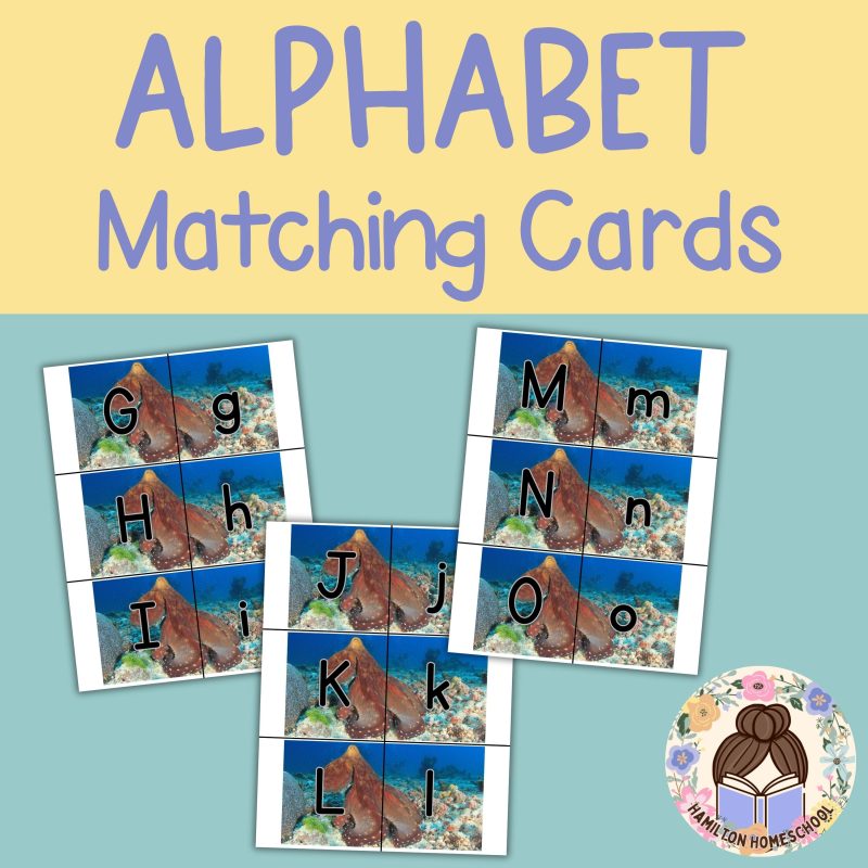 Octopus Alphabet Match Game Upper and Lower Case Letter Cards - Image 2