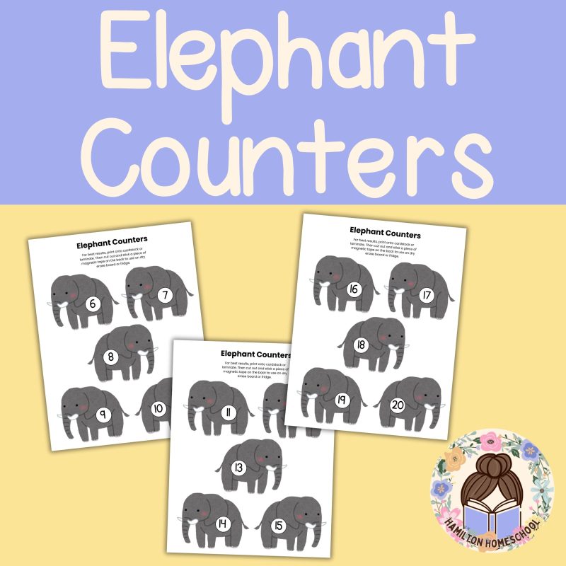 E is for Elephant Preschool Learning Pack E Week Lesson Plan - Image 2