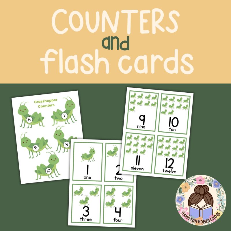 Grasshopper Math Activity Bundle Preschool Kindergarten Math Manipulatives - Image 2