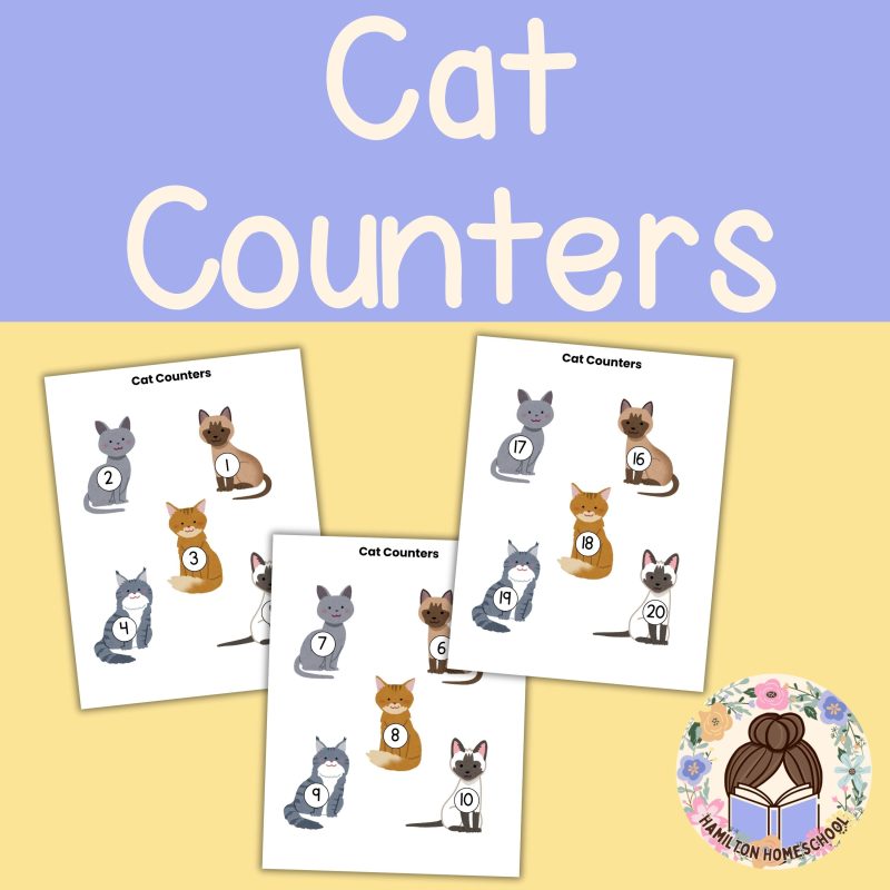 C is for Cat Preschool Activity Sheets Pre K Kindergarten Cat Theme Worksheets Learning Pack - Image 2