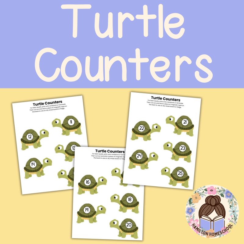 T is for Turtle Preschool Activity Sheets Bundle Letter T Turtle Unit Study Kindergarten Pre K - Image 2