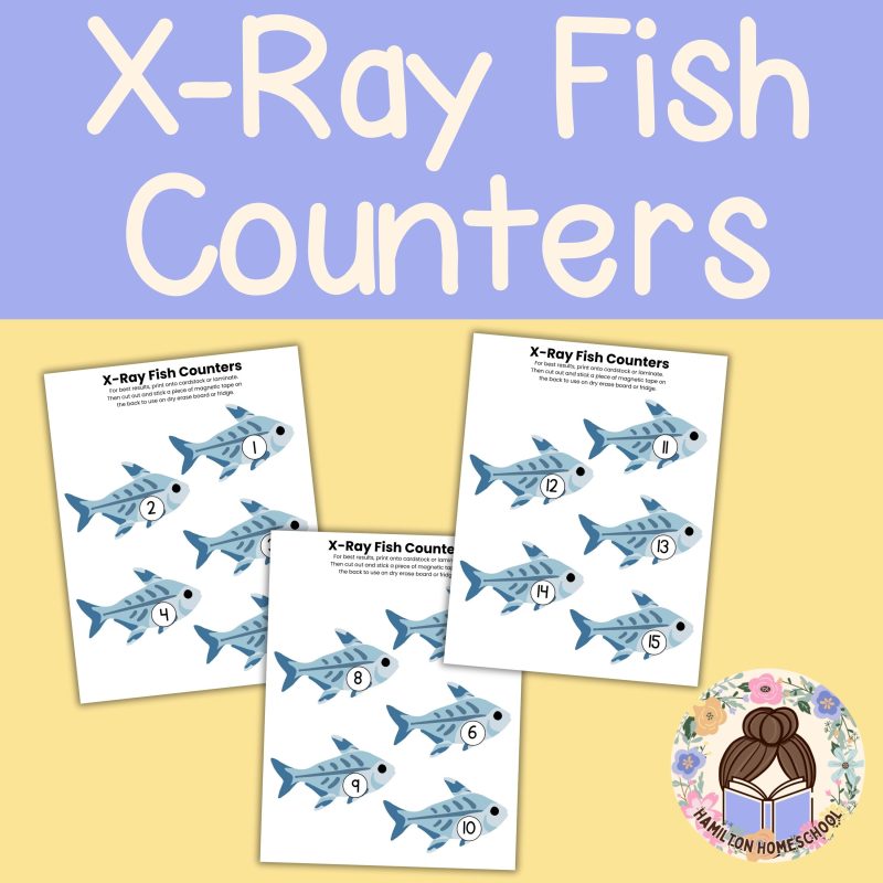 X is for X-Ray Fish Preschool Kindergarten Activity Sheets Bundle Letter X Week - Image 2