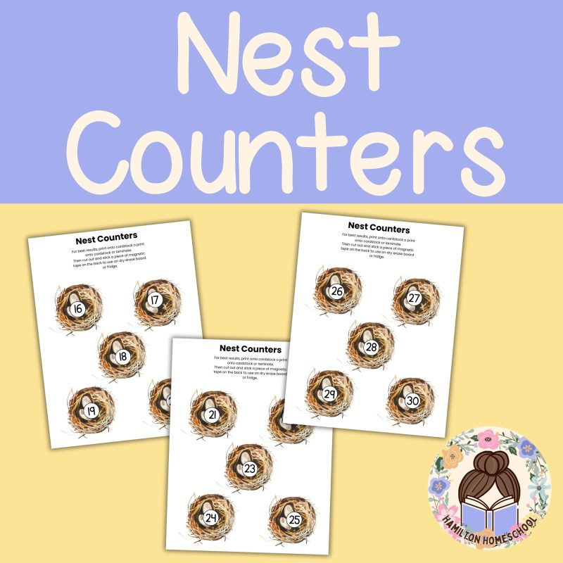 N is for Nest Preschool Activity Sheet Bundle Pre-K -Kindergarten Homeschool Curriculum - Image 2