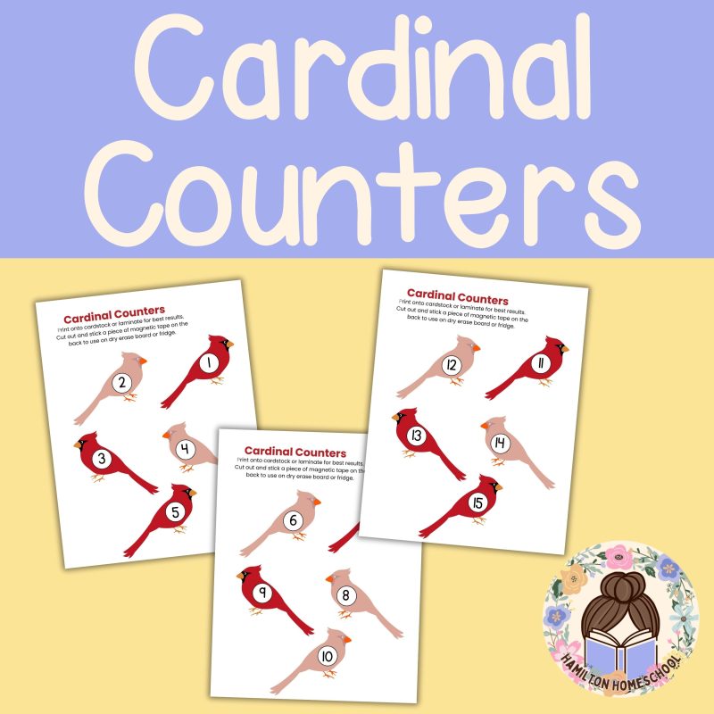 C is for Cardinal Preschool Worksheets Pre K Kindergarten Activity Sheets Bird Life Cycle - Image 2