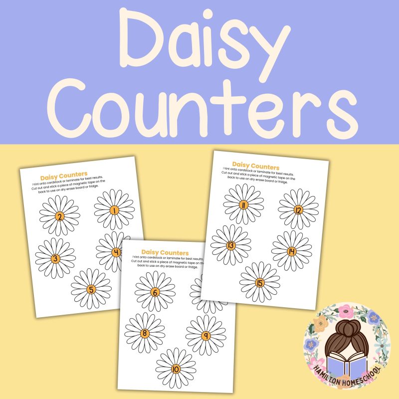 D is for Daisy Preschool Learning Pack Garden Flowers - Image 2