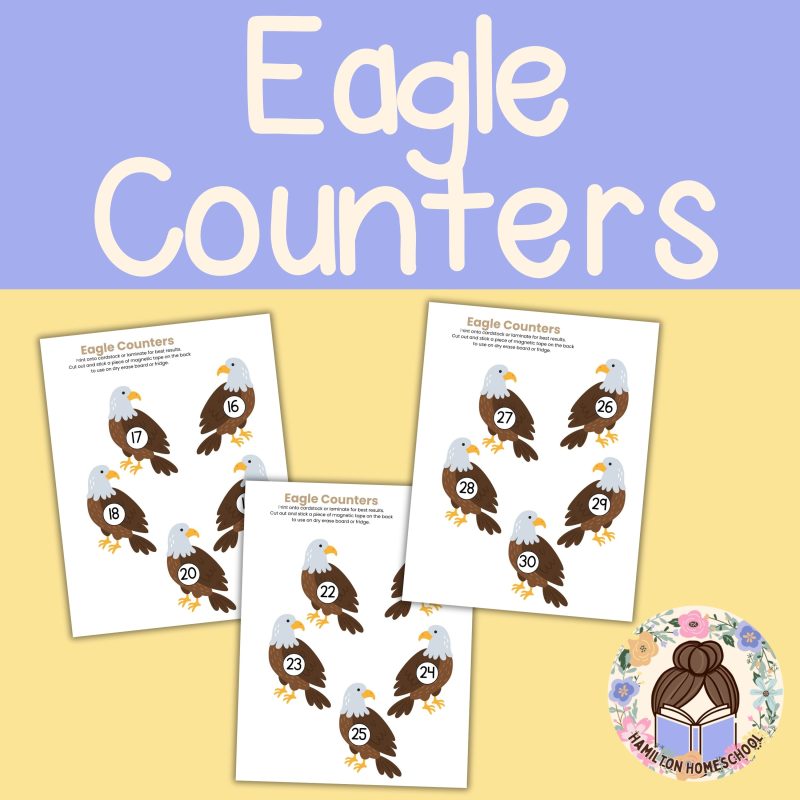 E is for Eagle Preschool Learning Pack Letter E Week Activities - Image 2