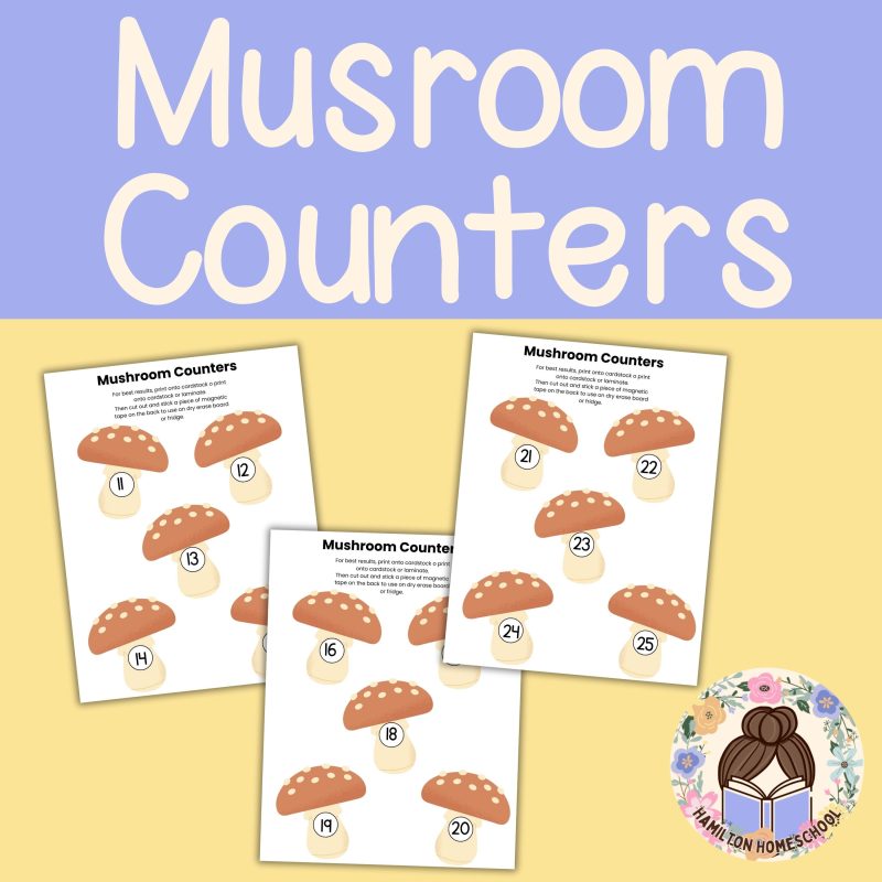 M is for Mushroom Preschool Activity Bundle Pre K- Kindergarten Worksheets - Image 2