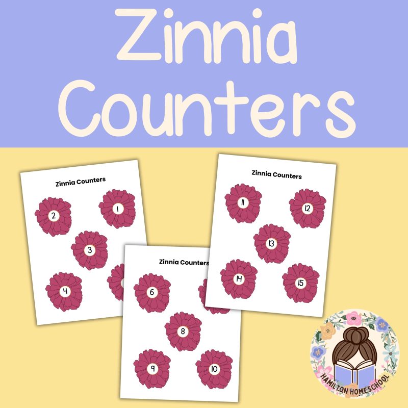 Z is for Zinnia Preschool Kindergarten Activity Sheets Bundle Z Week - Image 2