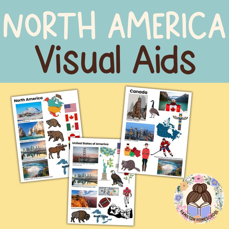 North America Continent Geography Worksheet Note Pages and Visual Aids Study Family Unit - Image 2