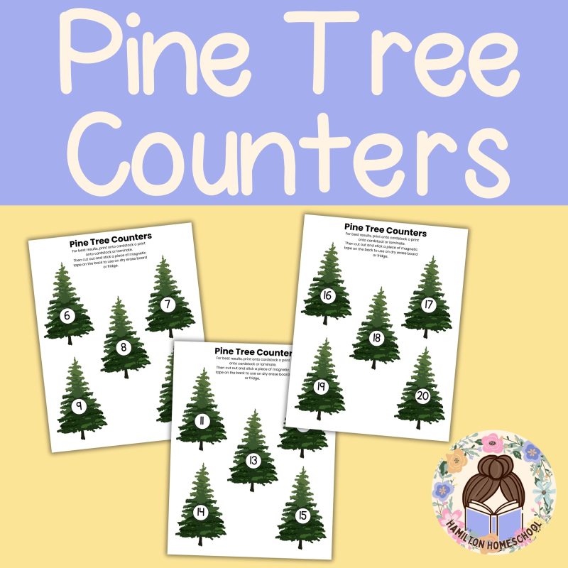 P is for Pine Preschool Kindergarten Activity Sheet Bundle Pine Tree Unit - Image 2