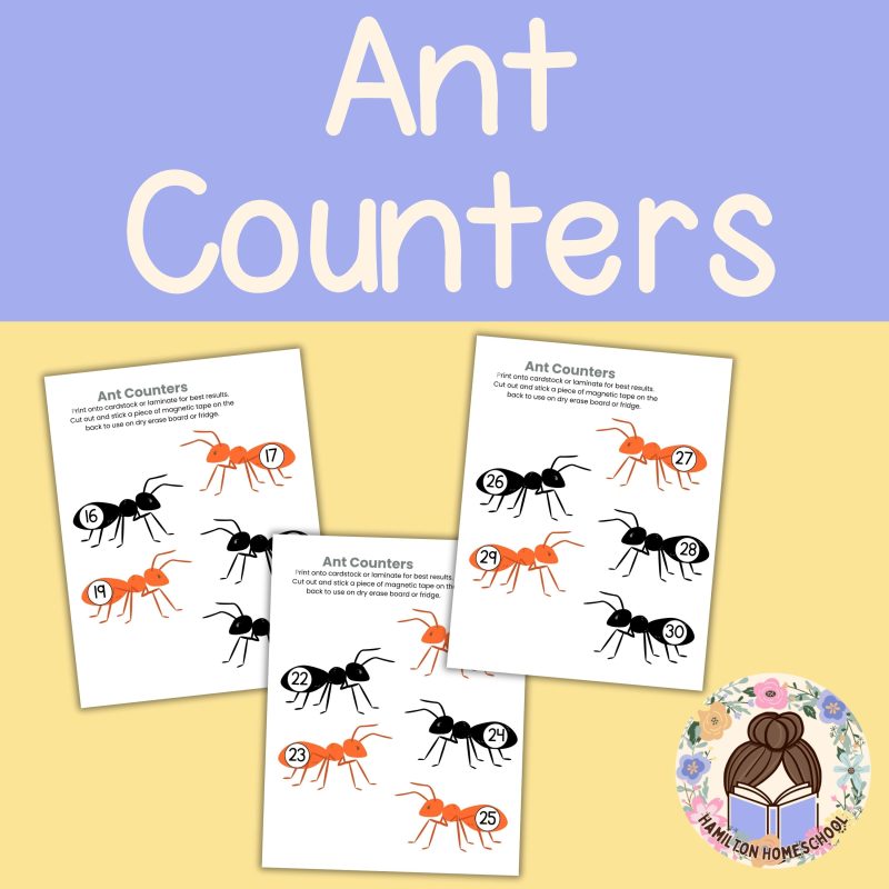 A is for Ant Preschool Worksheets Letter A Week Pre K Kindergarten Ant Activity Sheets - Image 2