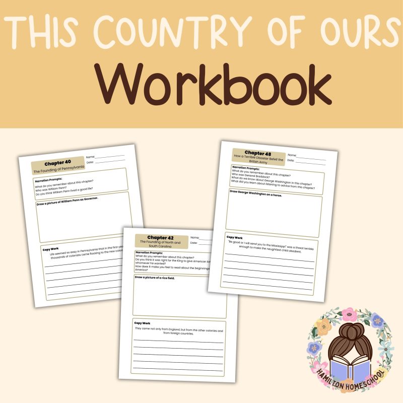 This Country of Ours Workbook Part 2 Chapters 29-63 H.E. Marshall American History U.S. History - Image 2