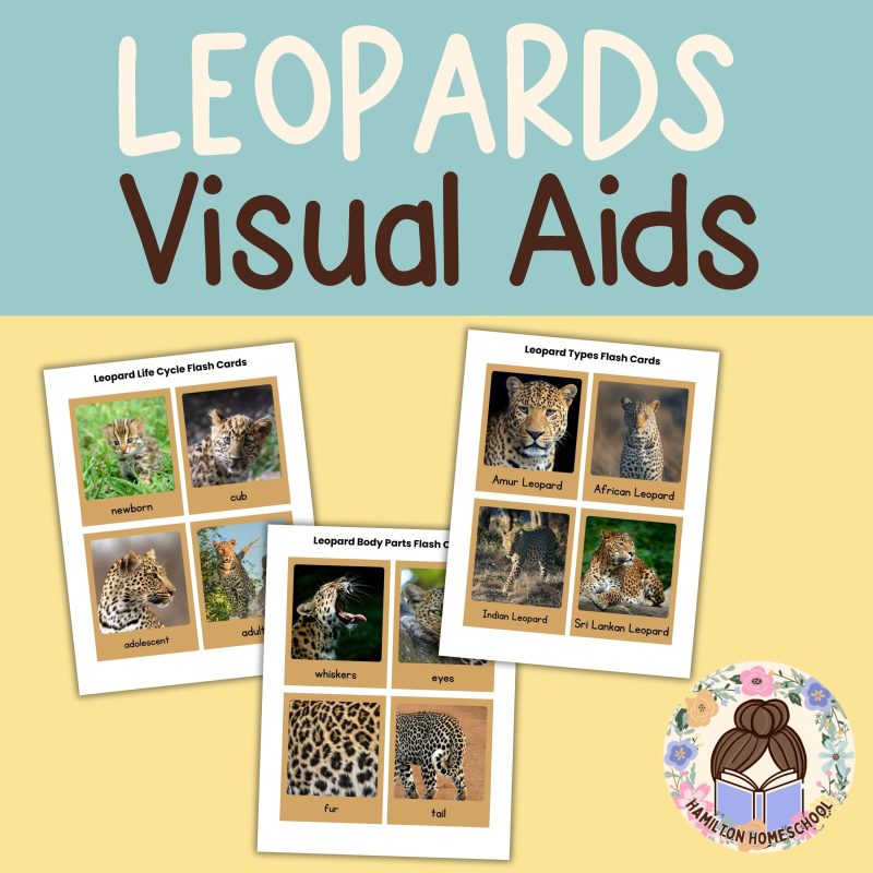 Leopard Nature Study Family Unit Worksheets Activities and Note Pages - Image 2
