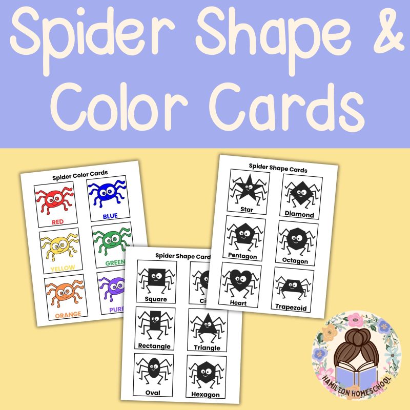 S is for Spider Preschool Pack Spider Worksheets and Activities Pre K Kindergarten - Image 2