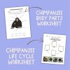 Chimpanzee Nature Study Family Unit Multi Subject Worksheets and Note Pages - Image 3